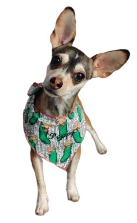 Costumes and Embroidery My Store Christmas, Personalized Custom Embroidered Dog Name Bandana