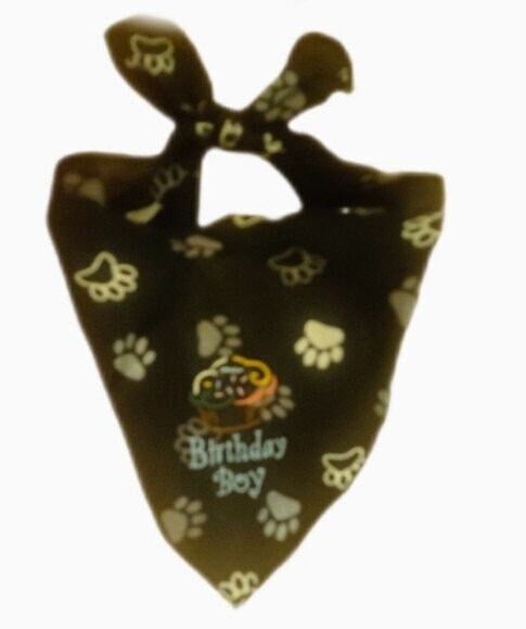 Costumes and Embroidery My Store Dog Bandanas-Embroidered Birthday Boy- Black Paw Print