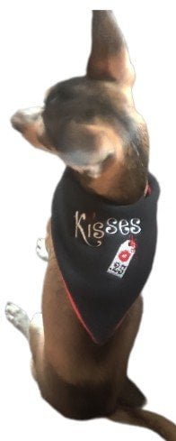 Costumes and Embroidery My Store Embroidered Valentines Day Kisses Dog Bandana-Sales Tag