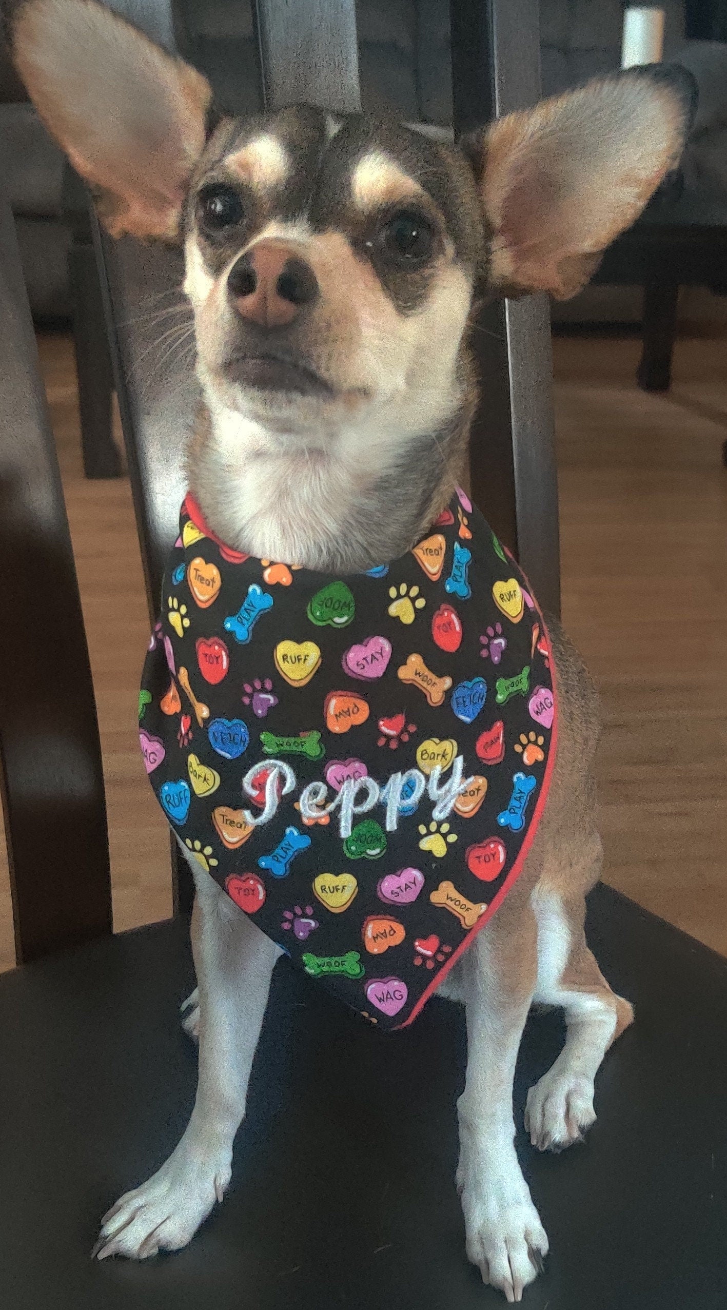 Costumes and Embroidery My Store Valentine's Day Dog Gift Bandana- Personalized Embroidered Name